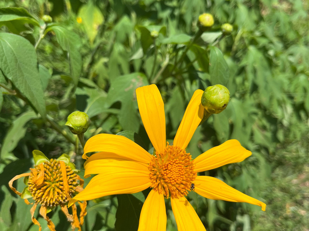 Paradise Island Safari-Gampola必去景点