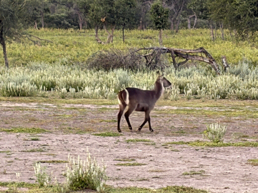 Wildacker Guestfarm主图