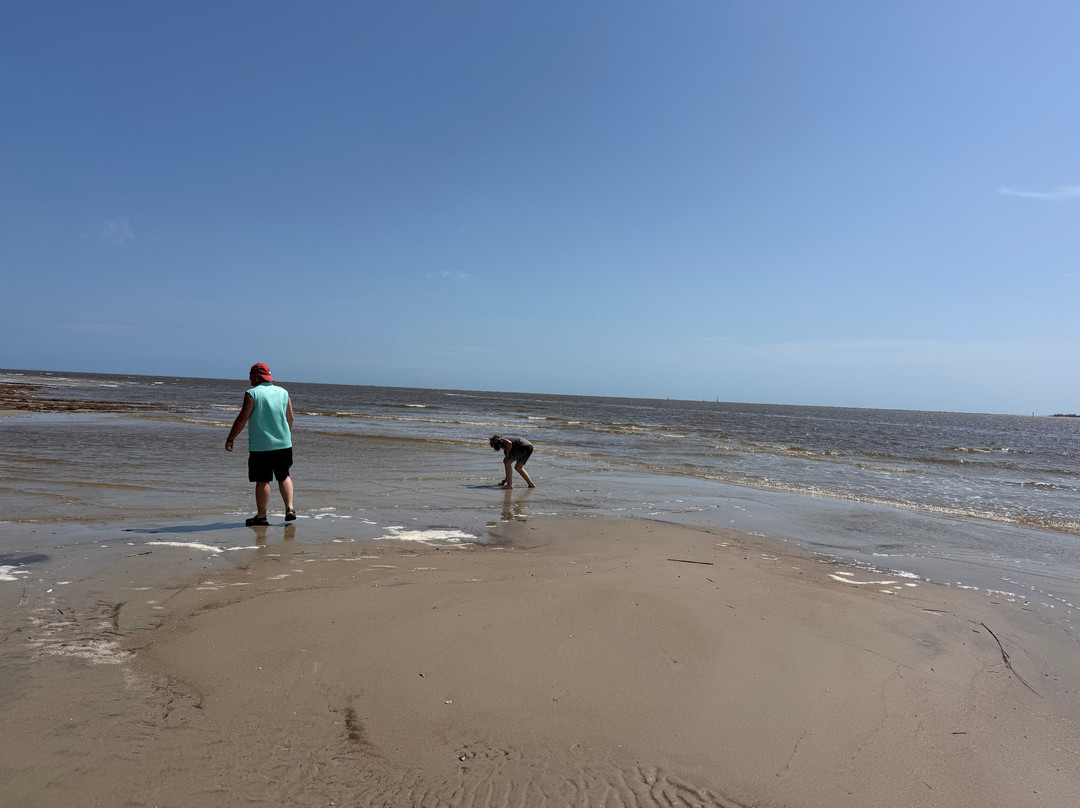 Cap'n Rod's Lowcountry Shell Island & Plantation Tours-乔治敦必去景点