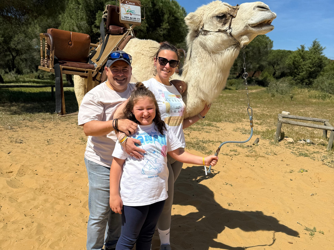 Aires Africanos-Matalascanas必去景点