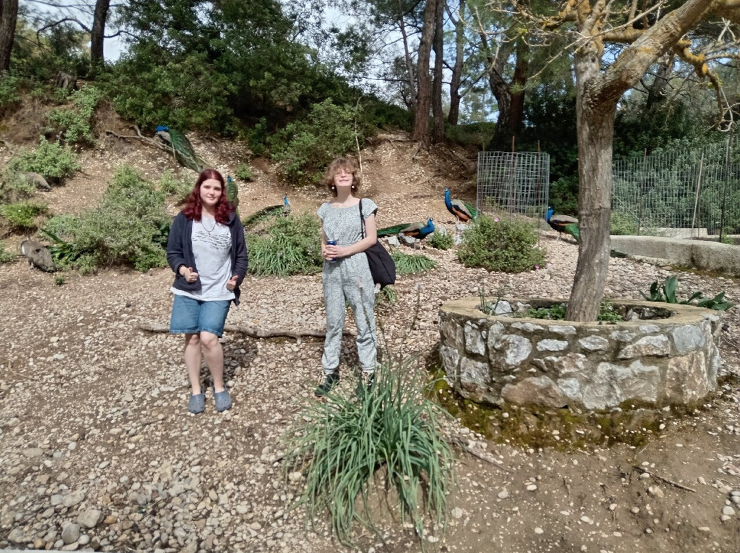 Seven Springs Tunnel