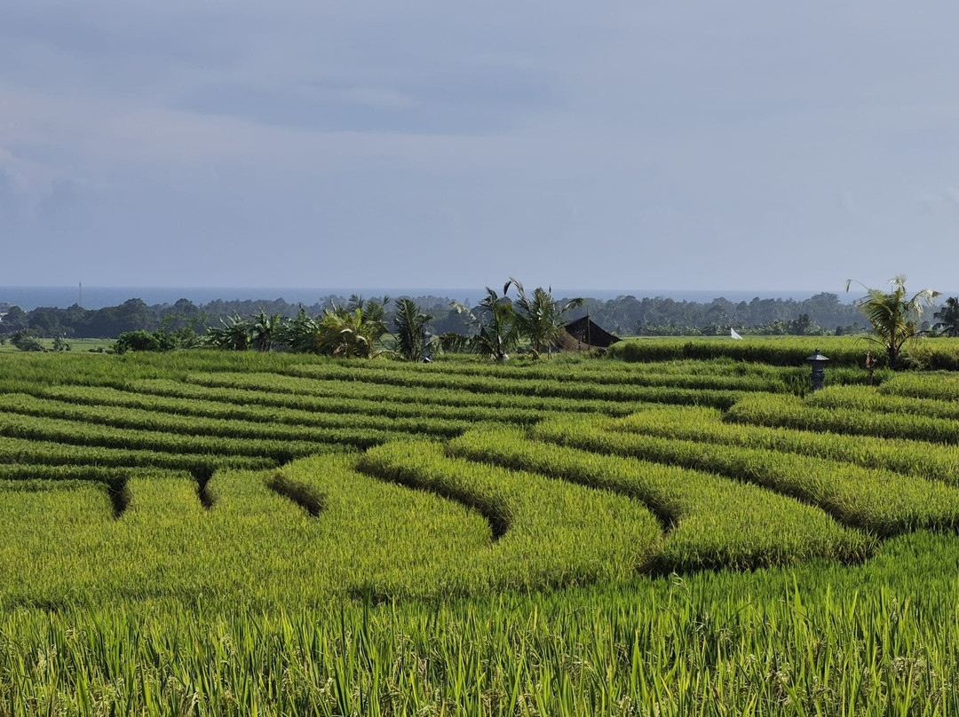 霎哈嘉萨瓦度假别墅主图
