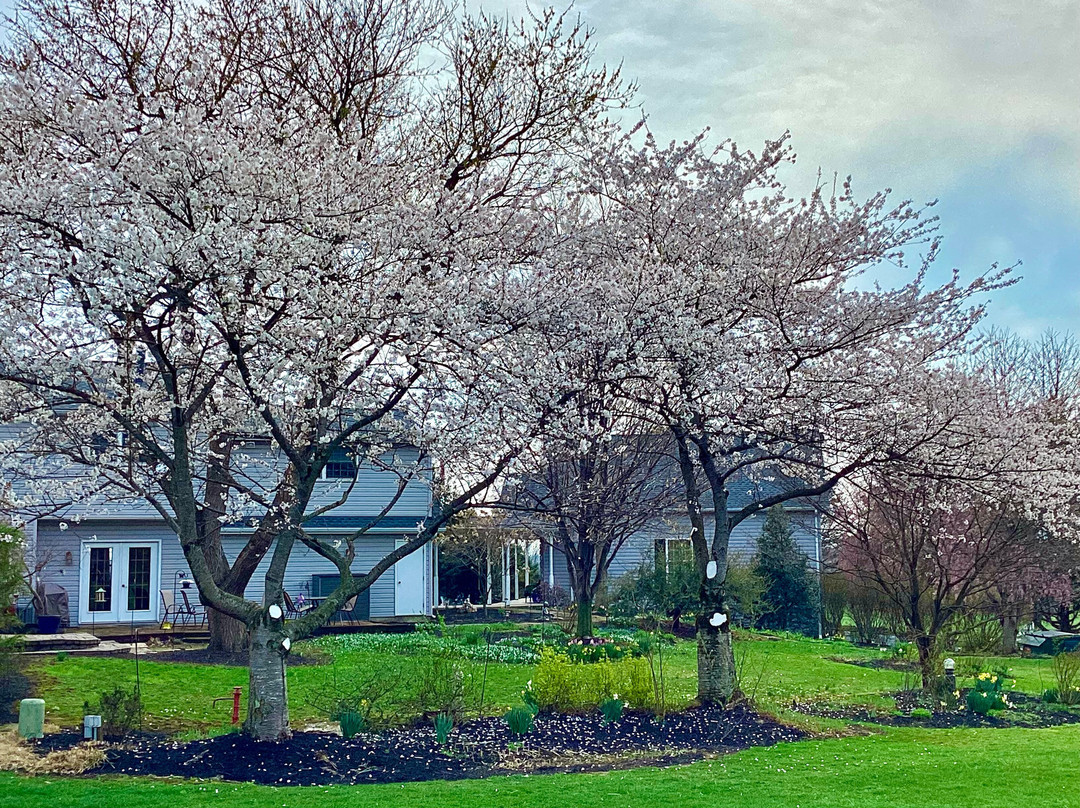 韦斯特文德农场民宿旅馆主图
