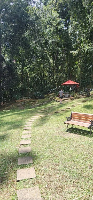 曼特宁皇家NH典藏酒店-官方