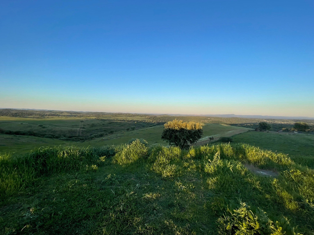 C`Alma D`Alentejo