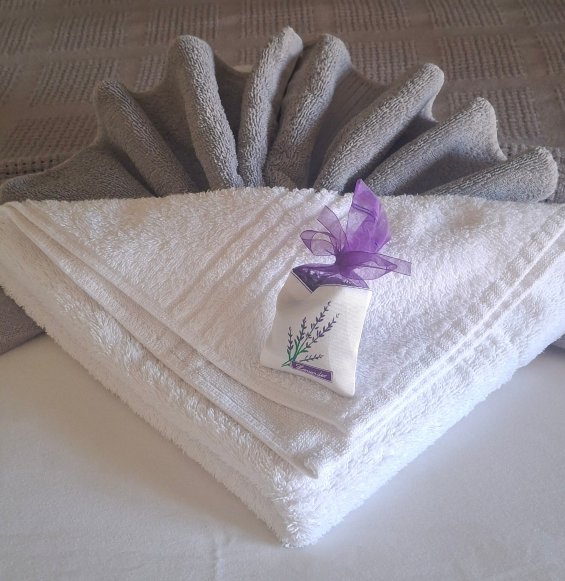 博索莱酒店-官方