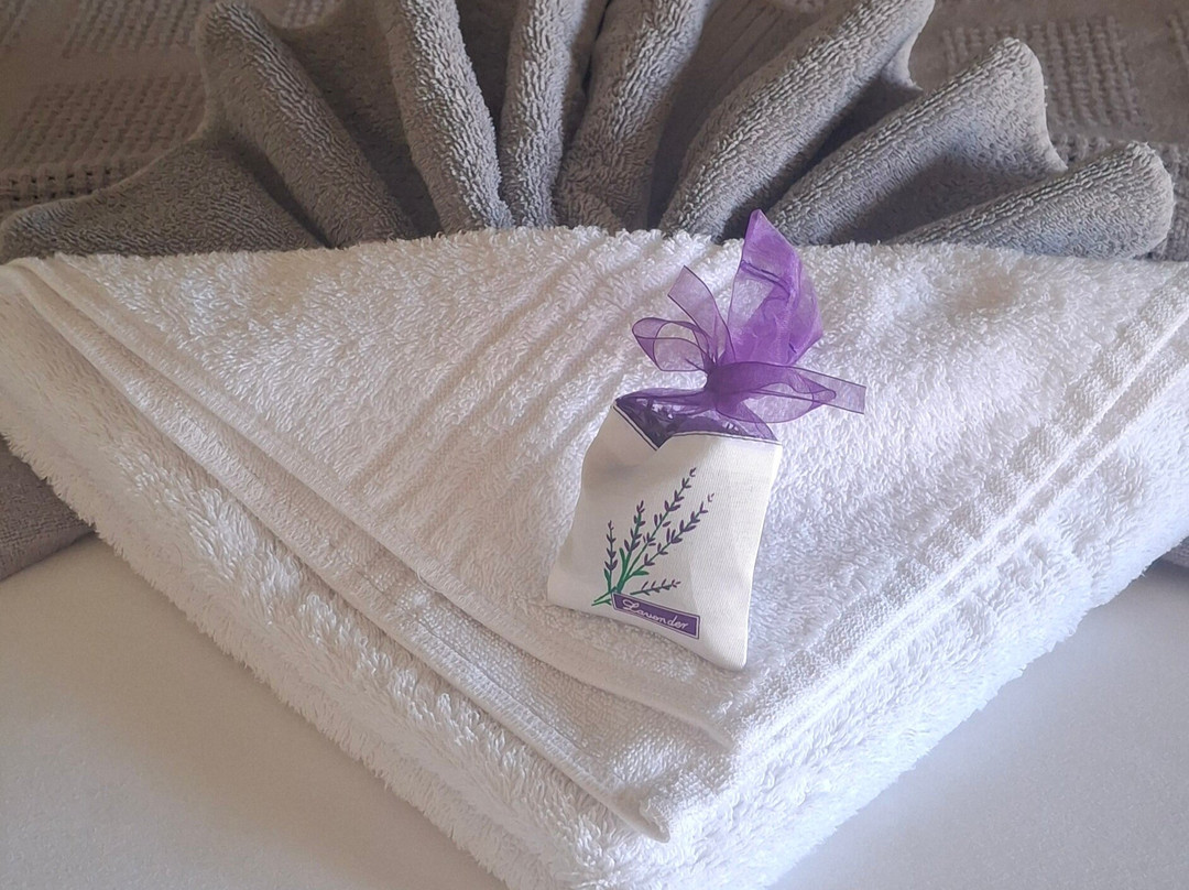 博索莱酒店主图