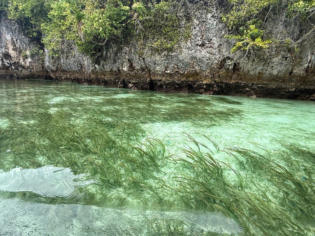 Bair Island-Tual必去景点