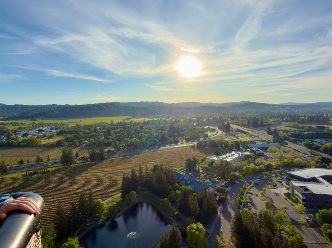 Wine Country Balloons-索诺玛必去景点