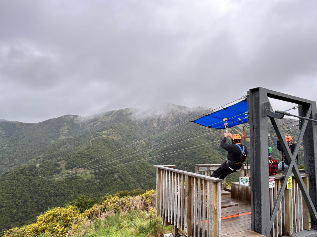 Eco Zip Line Kaikoura N.z.-Kaikoura必去景点