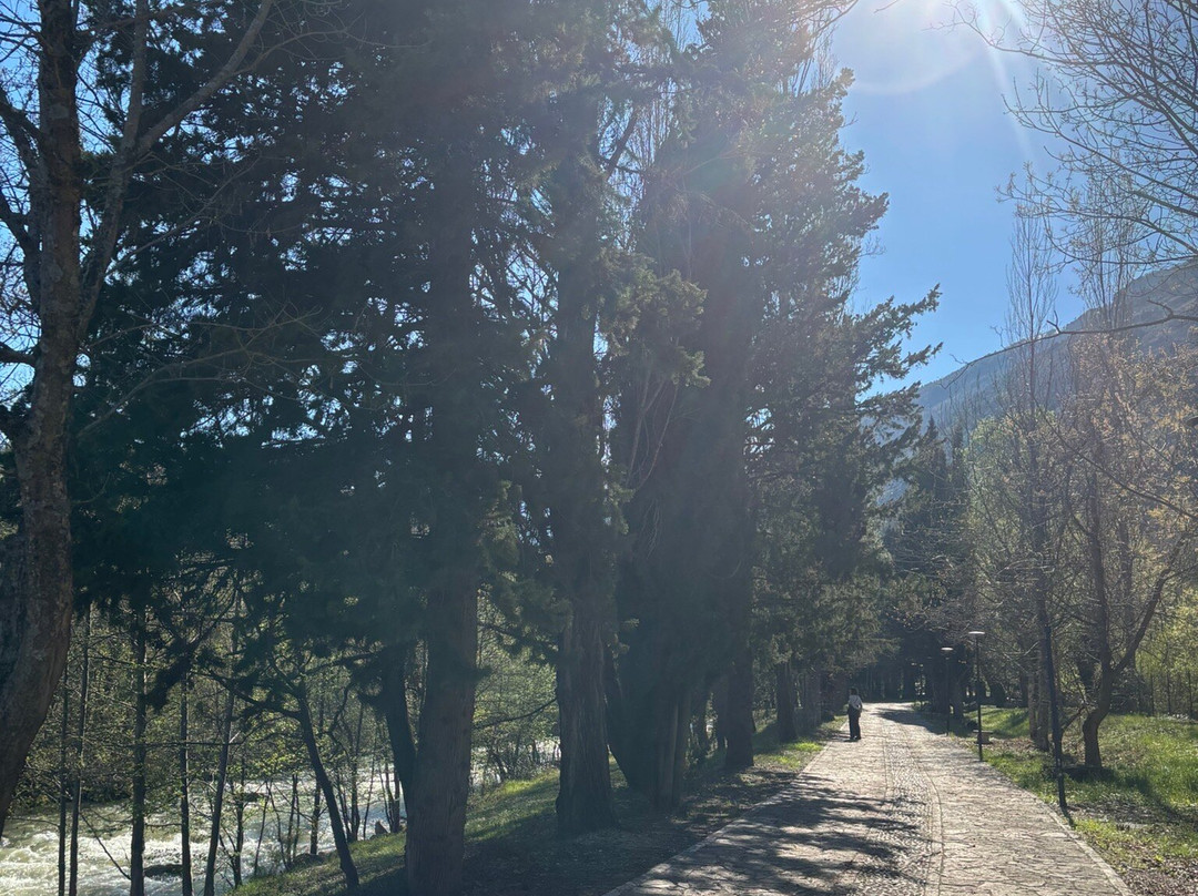 Parco Fluviale delle Acquevive-Taranta Peligna必去景点