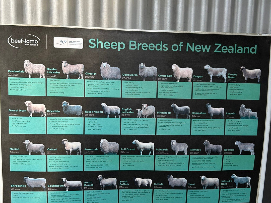 Glenorchy Animal Experience-格伦诺基必去景点