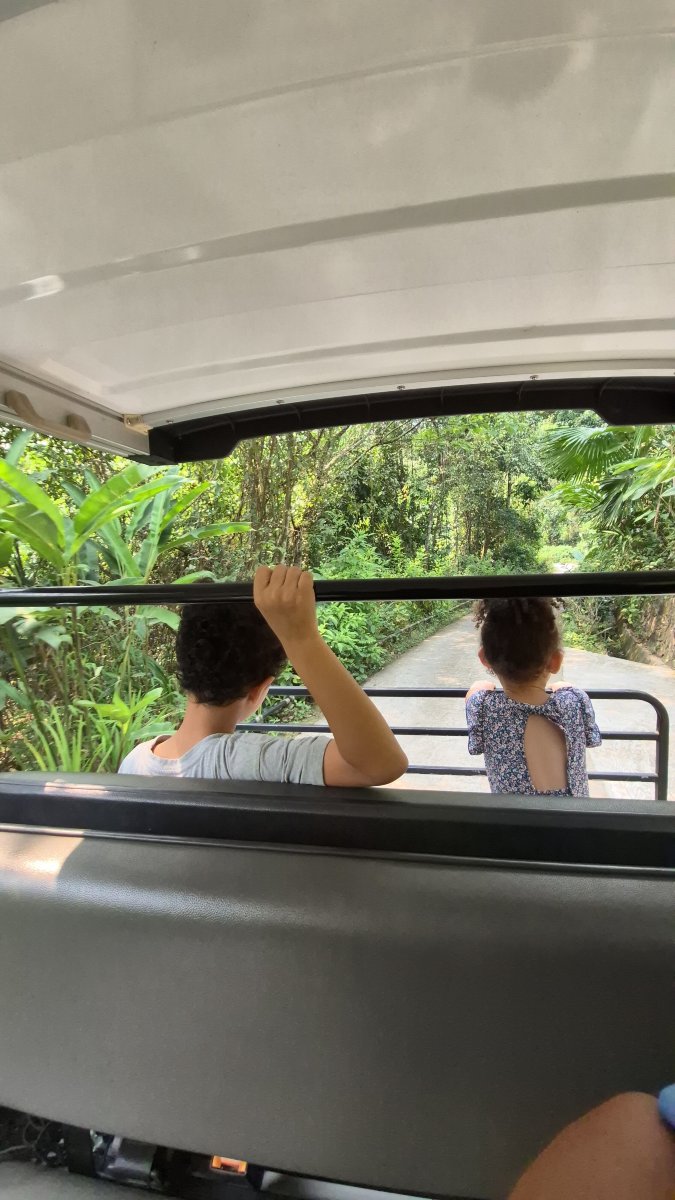 阿瓦娜度假村-度假村/酒店