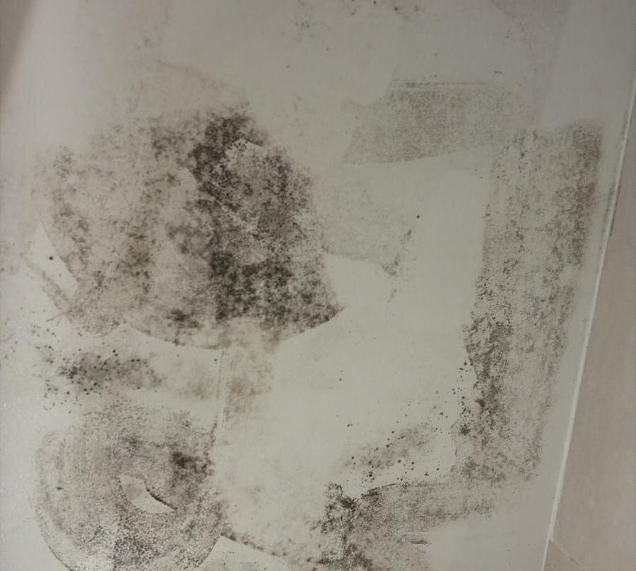 B＆B酒店巴黎梅杜翁维利齐主图