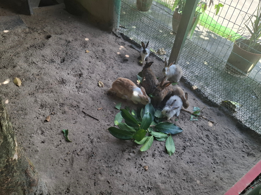 Fazendinha Parque Raposa-Raposa必去景点