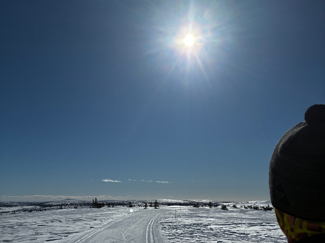 Aktiv I Natur Skiskole-利勒哈默尔必去景点