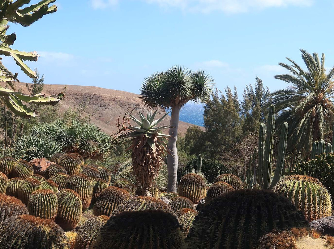 Jardin Botanico-La Lajita必去景点