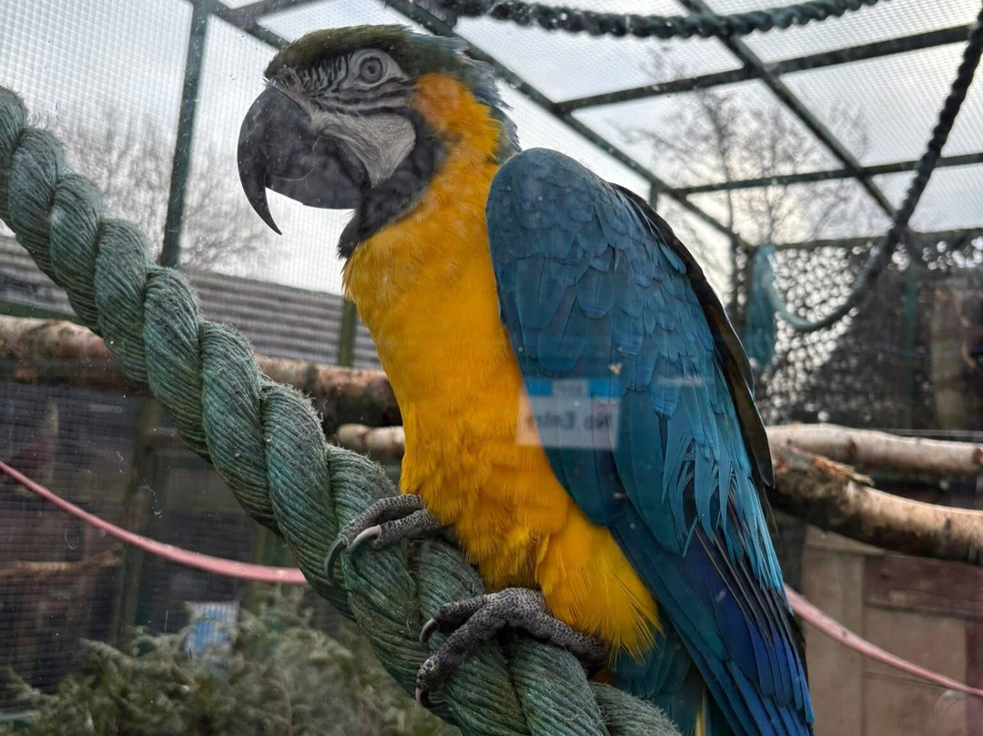 Five Sisters Zoo-West Calder必去景点