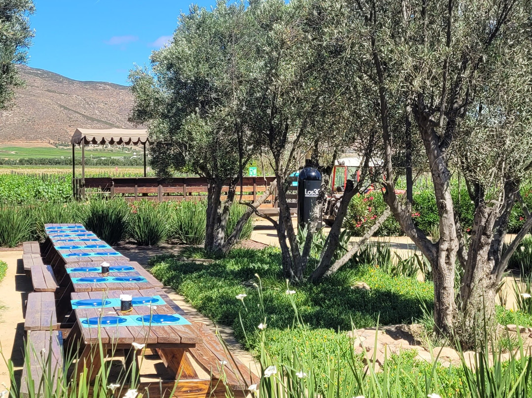 El Cielo Valle de Guadalupe-Valle de Guadalupe必去景点