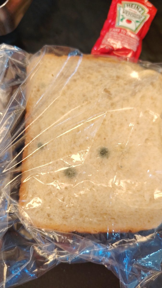 希尔顿欢朋酒店-费城芒特劳雷尔-旅行者