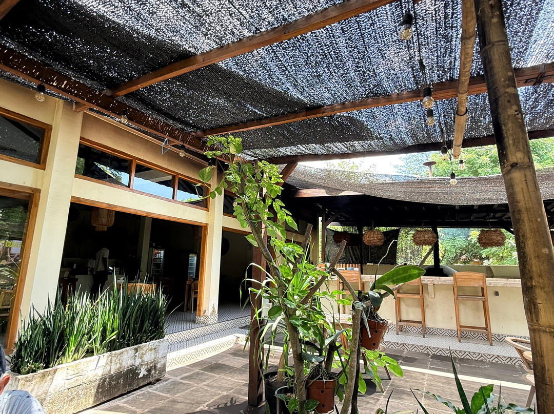 The Backyard Island Cafe