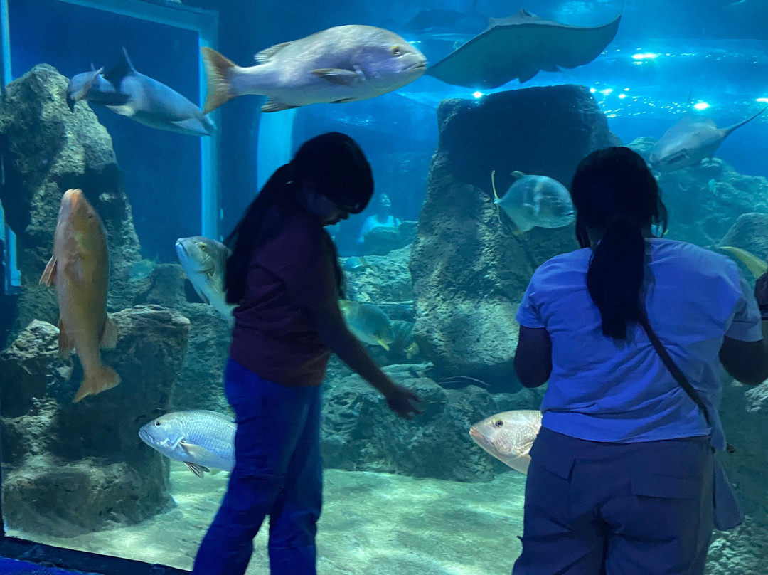 Acuario Michin Guadalajara-瓜达拉哈拉必去景点