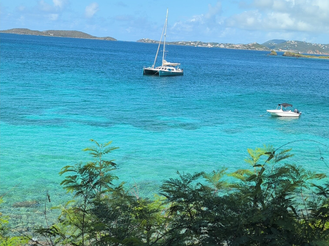 Garden by the Sea B&B主图