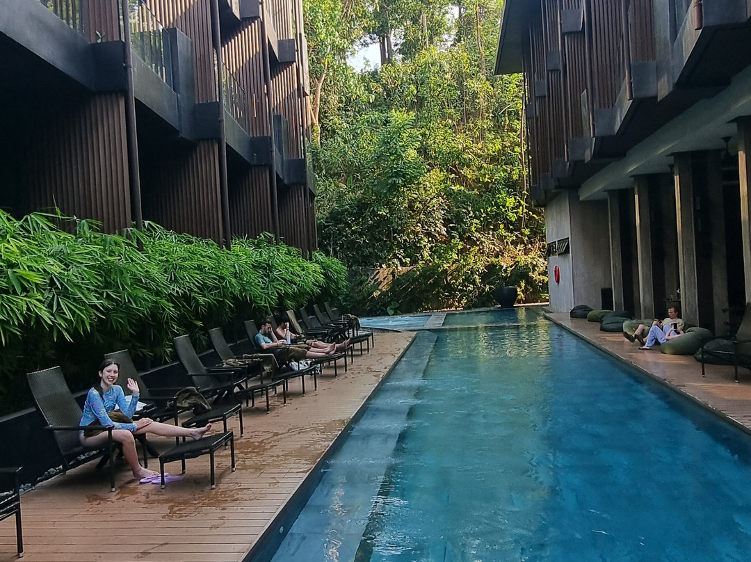 有趣的狮子酒店-爱妮岛主图