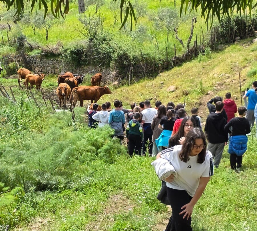 Madonie a Passo lento-Petralia Soprana必去景点