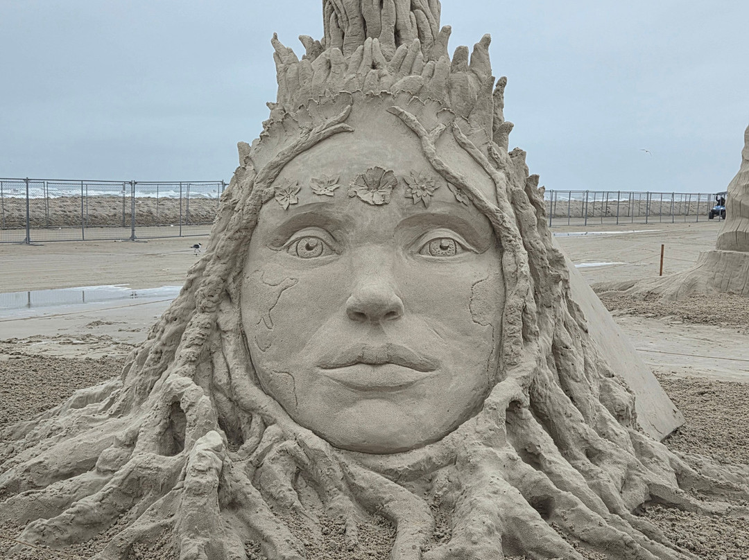 Texas SandFest-阿兰瑟斯港必去景点