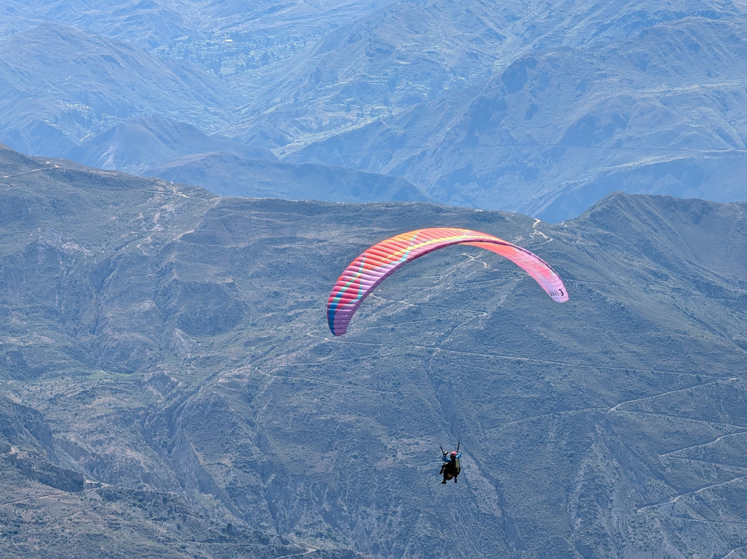 Paragliding in La Paz - Day Tour-拉巴斯必去景点