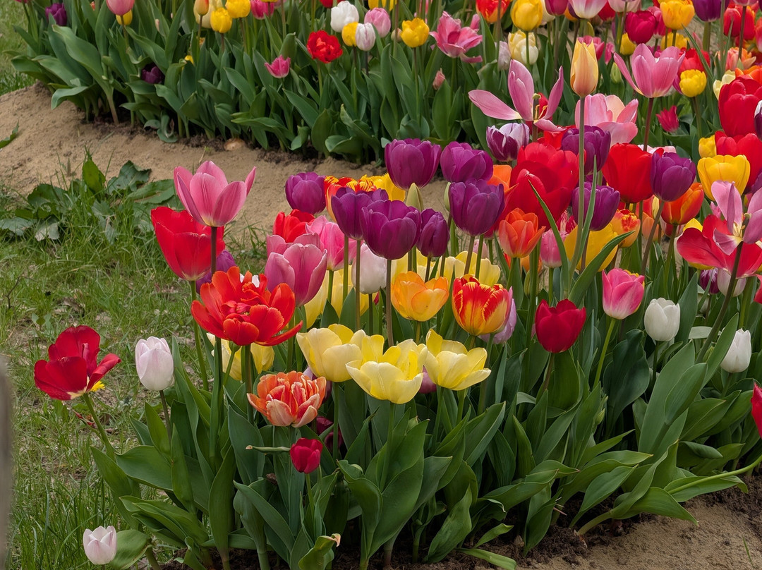 Tulleys-Turners Hill必去景点