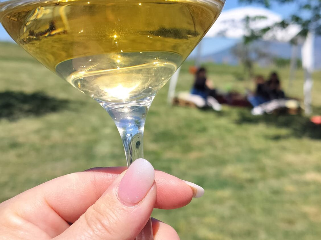Di Filippo Winery-Cannara必去景点