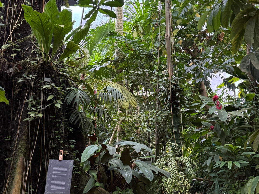 Botanical Garden-苏黎世必去景点