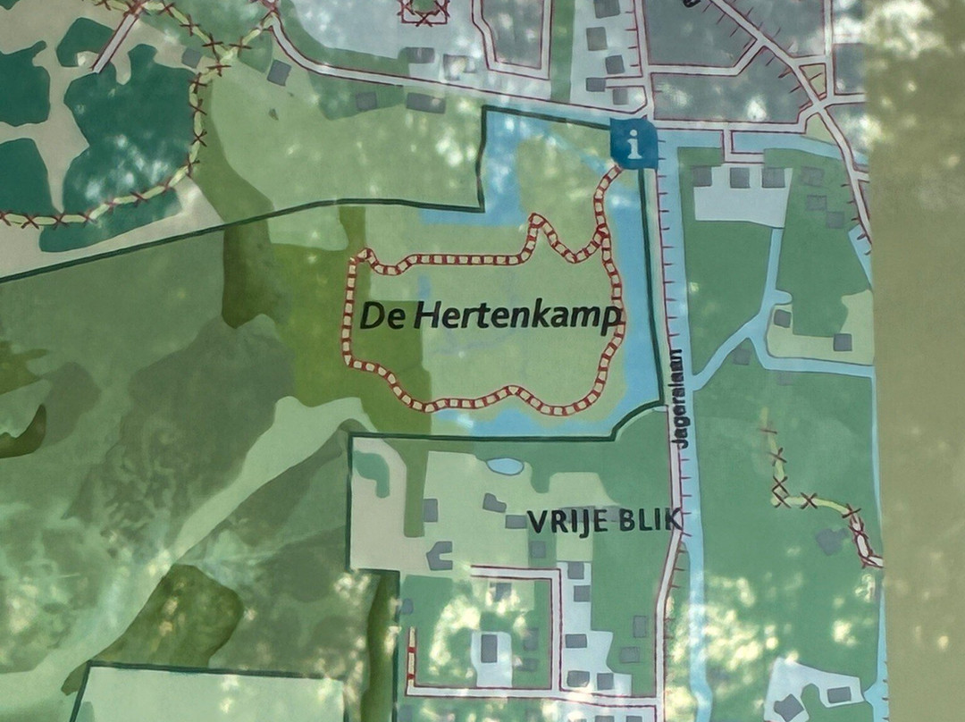 Duinreservaat Meijendel-Kievietsduin-Wassenaar必去景点