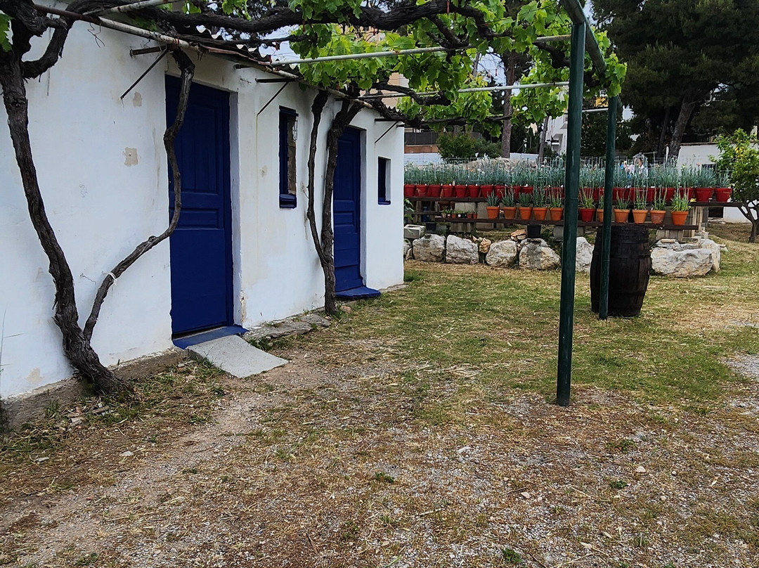 Centre d'Interpretacio De La Malvasia-锡切斯必去景点