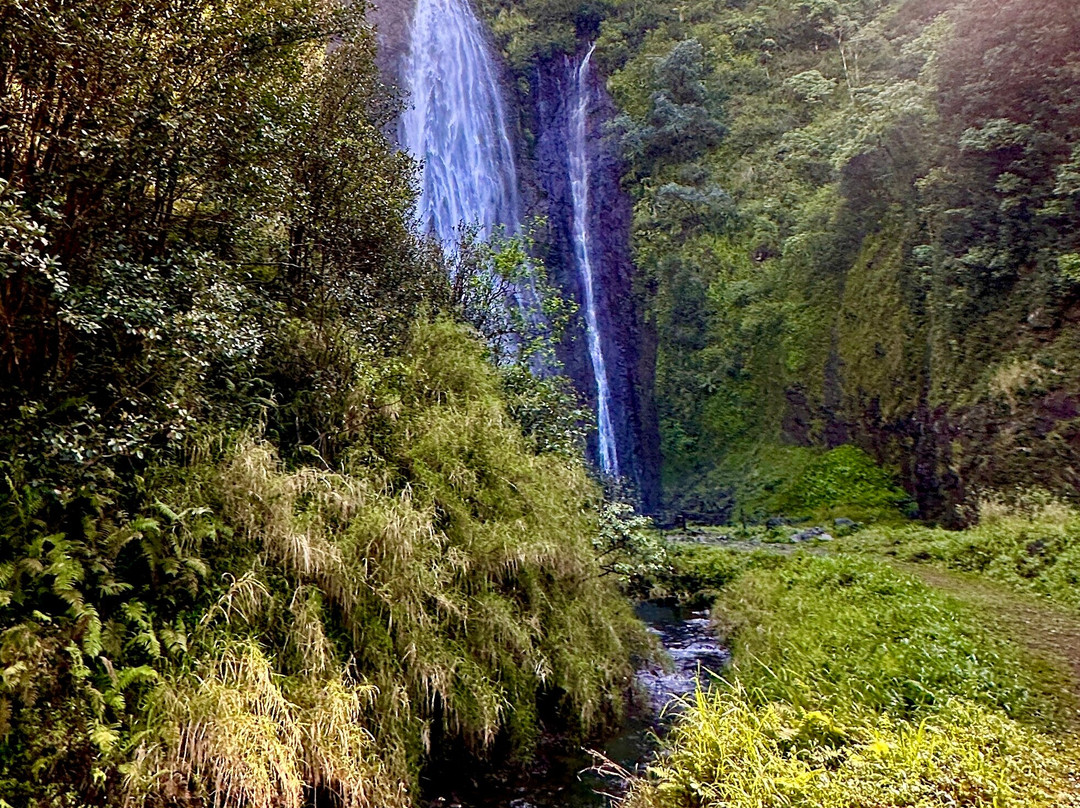 Manawaiopuna Falls (Jurassic Park Falls)-埃里埃利必去景点