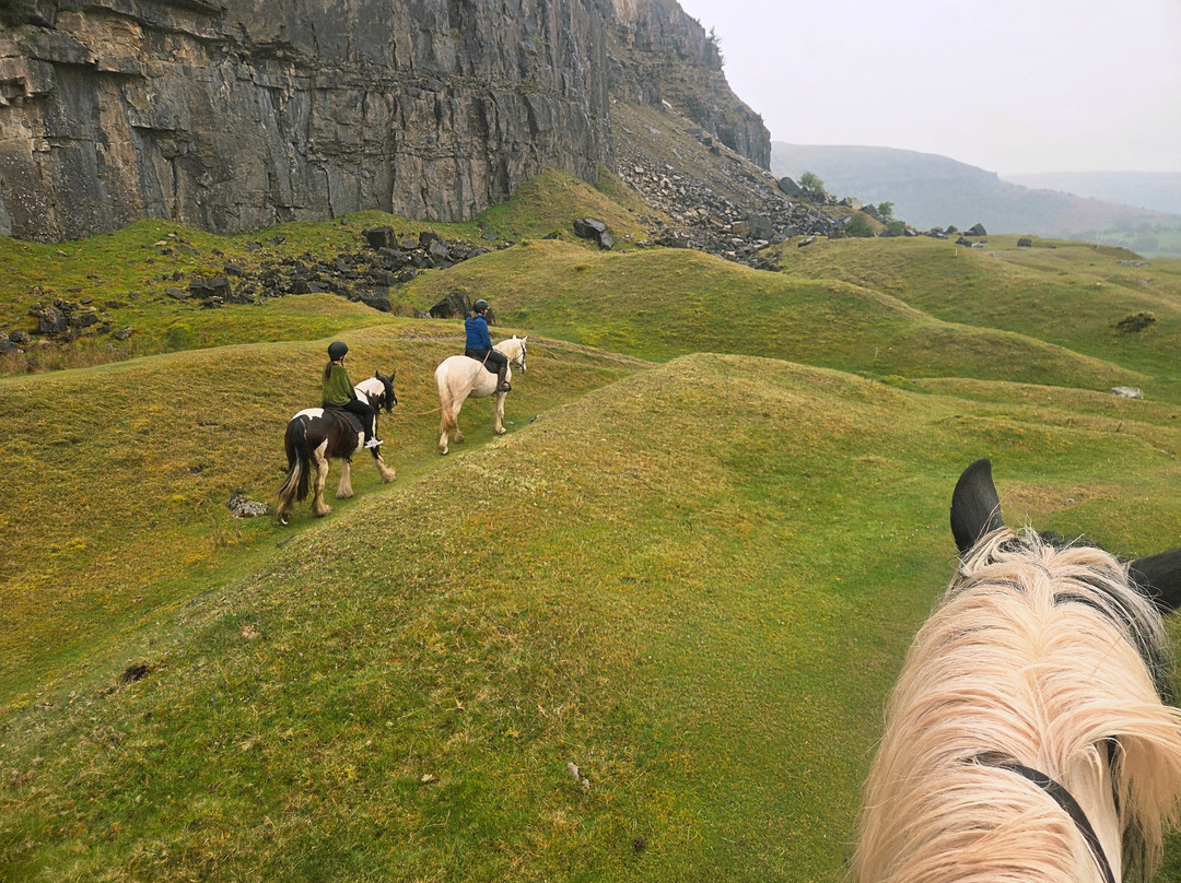 Wern Trekking and Riding Centre-Crickhowell必去景点