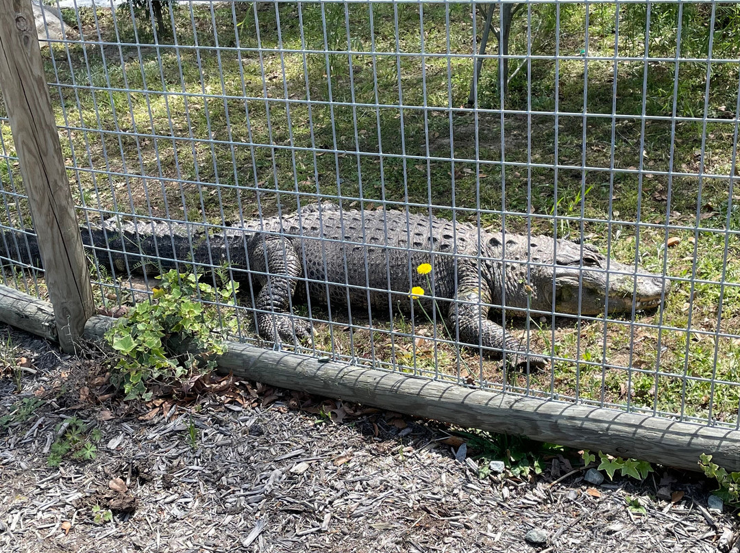 Broadway Zoological Park-Broadway必去景点
