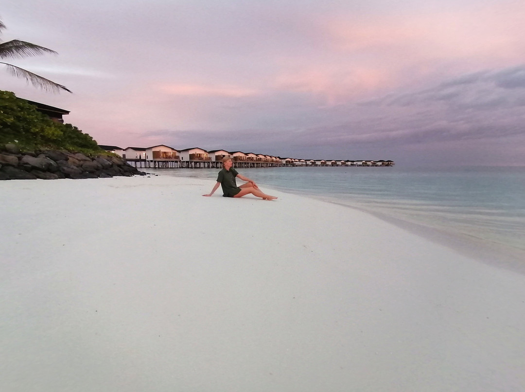 Joy Island Maldives by Cocoon Collection主图