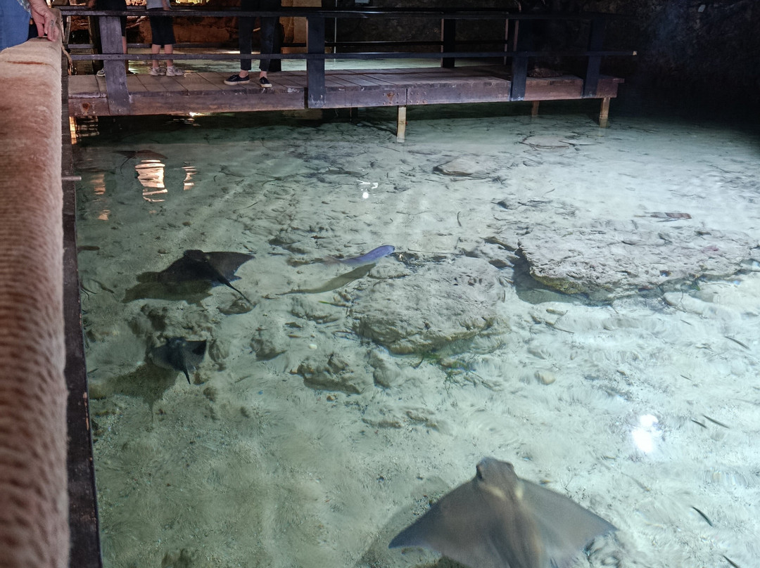 Aquarium Cap Blanc-圣安东尼德波特曼尼必去景点