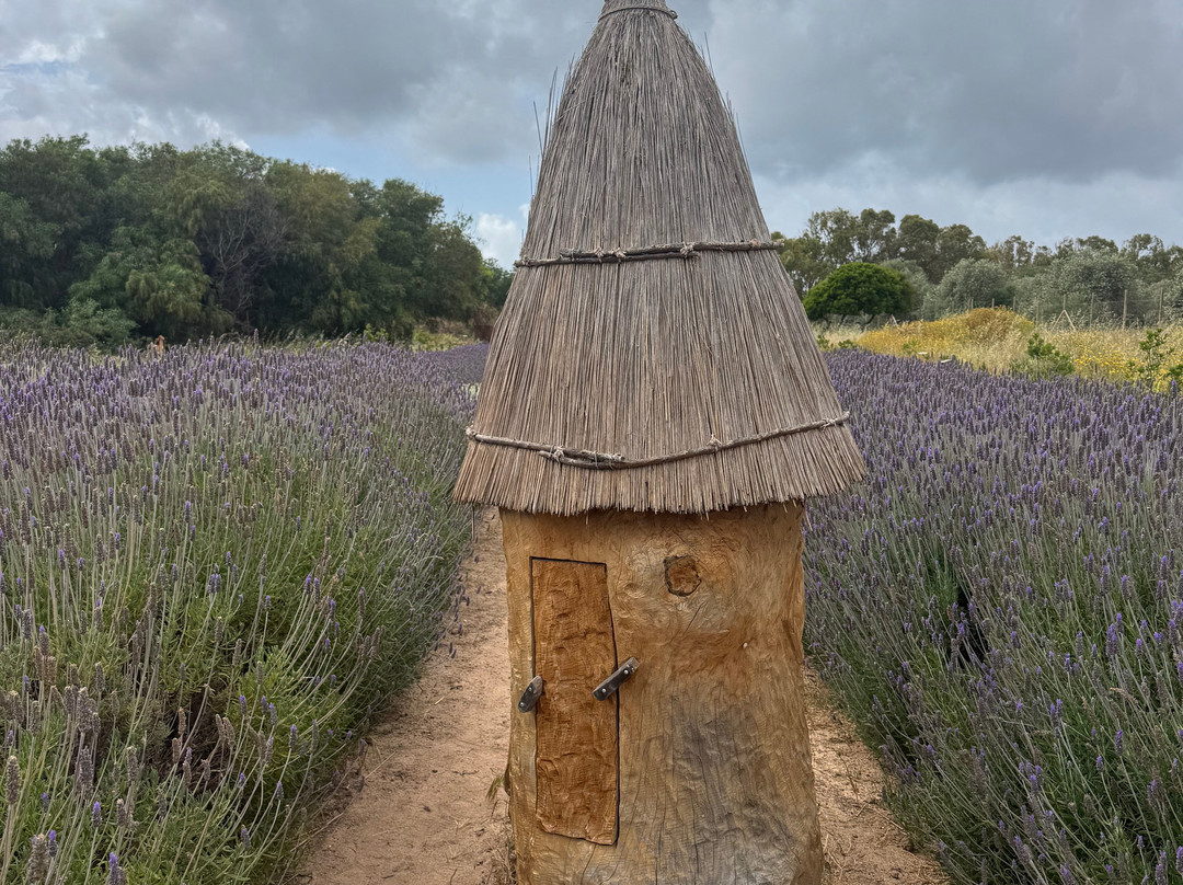 Bee Garden Alghero-阿尔盖罗必去景点