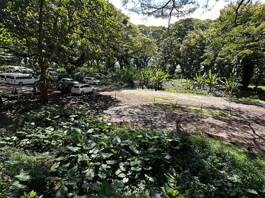 Yukbanyuwangi-巴纽旺宣必去景点