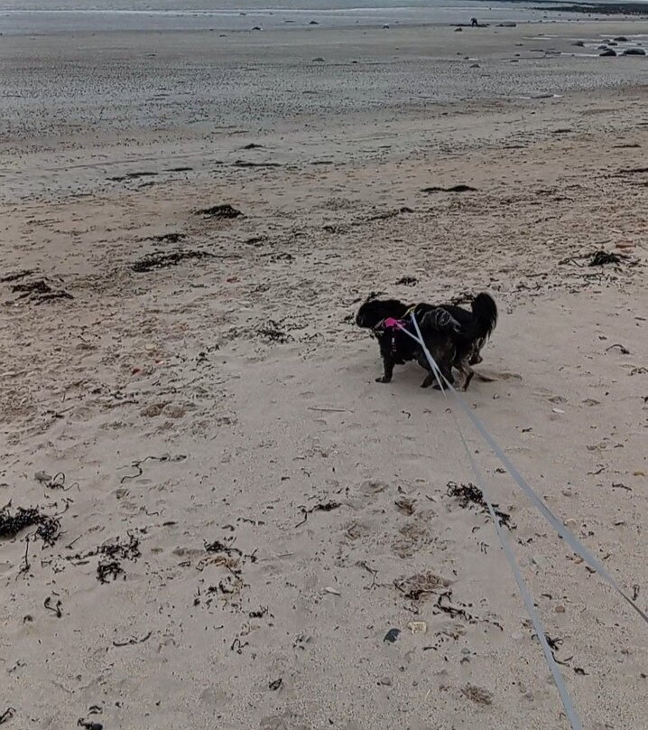 Boulmer Beach-Boulmer必去景点