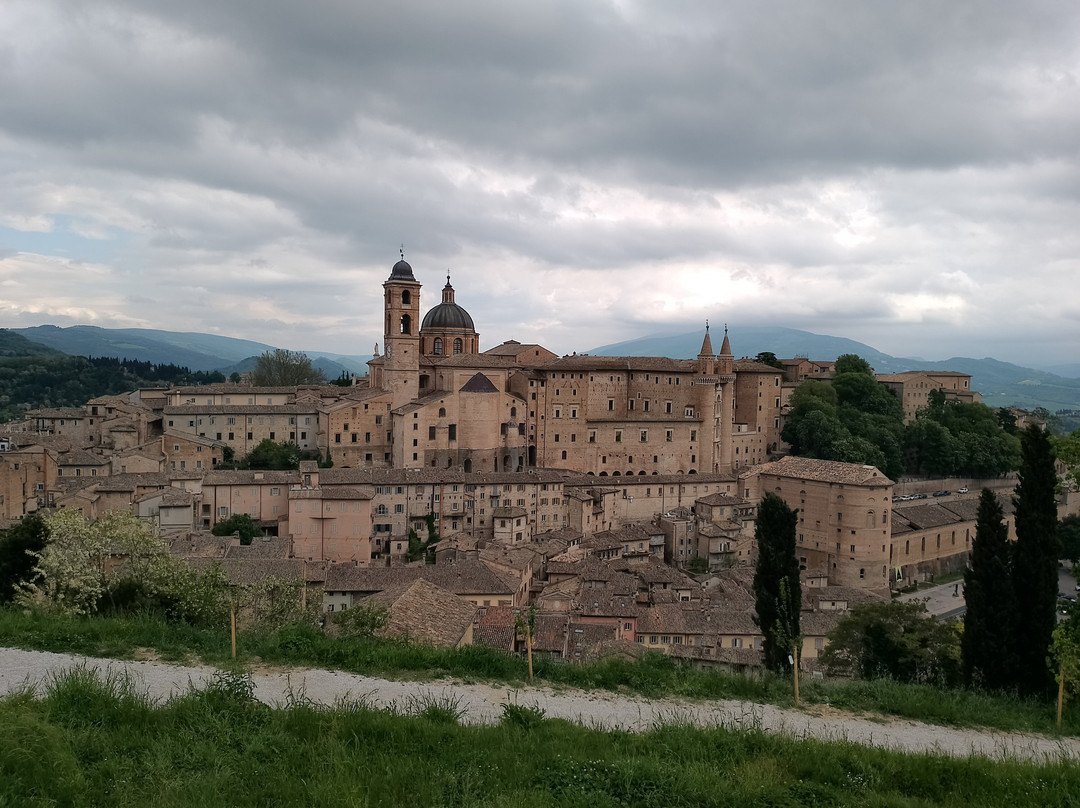 Palazzo Ducale di Urbino-乌尔比诺必去景点