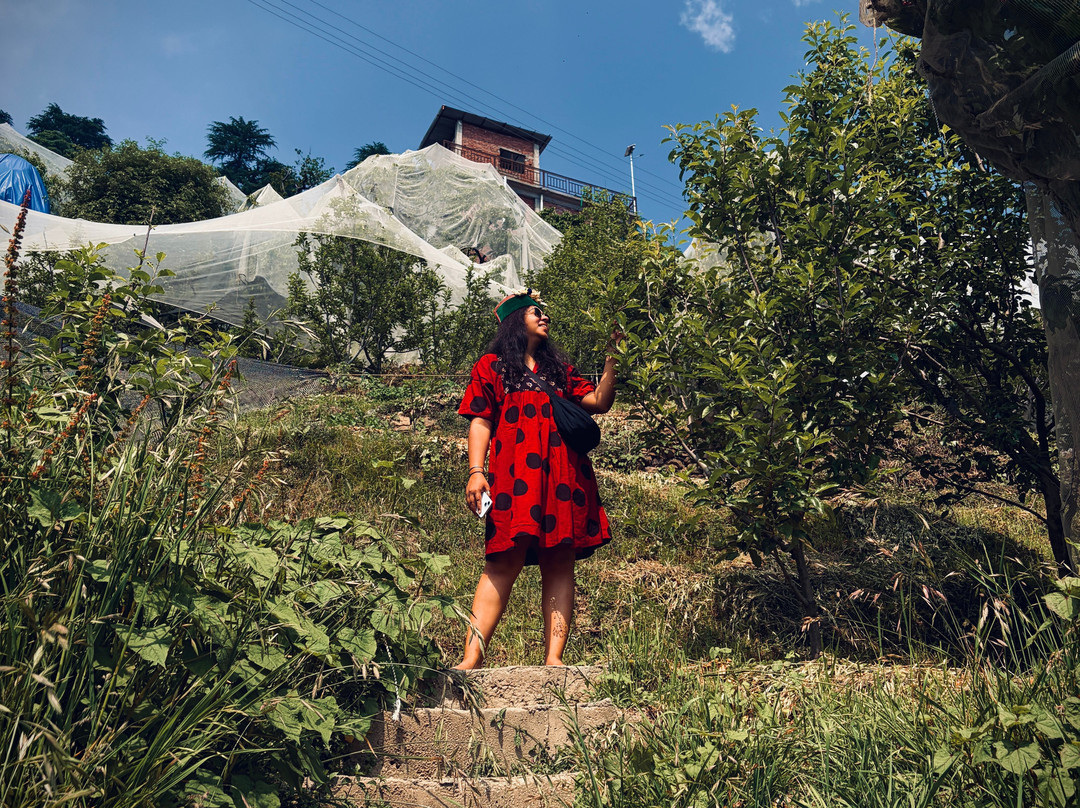 Deodar Cottage-A Boutique Farm Stay主图