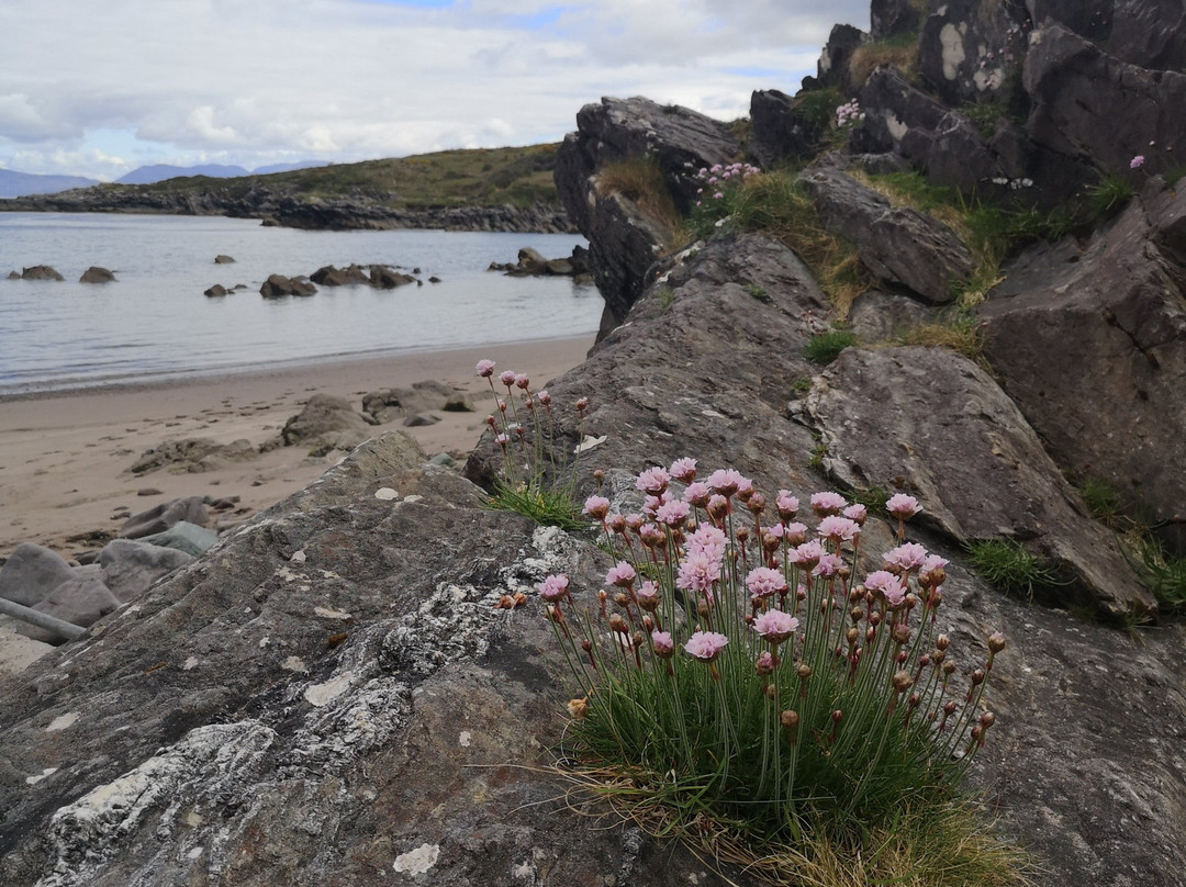 Kerry Experience Tours-Sneem必去景点