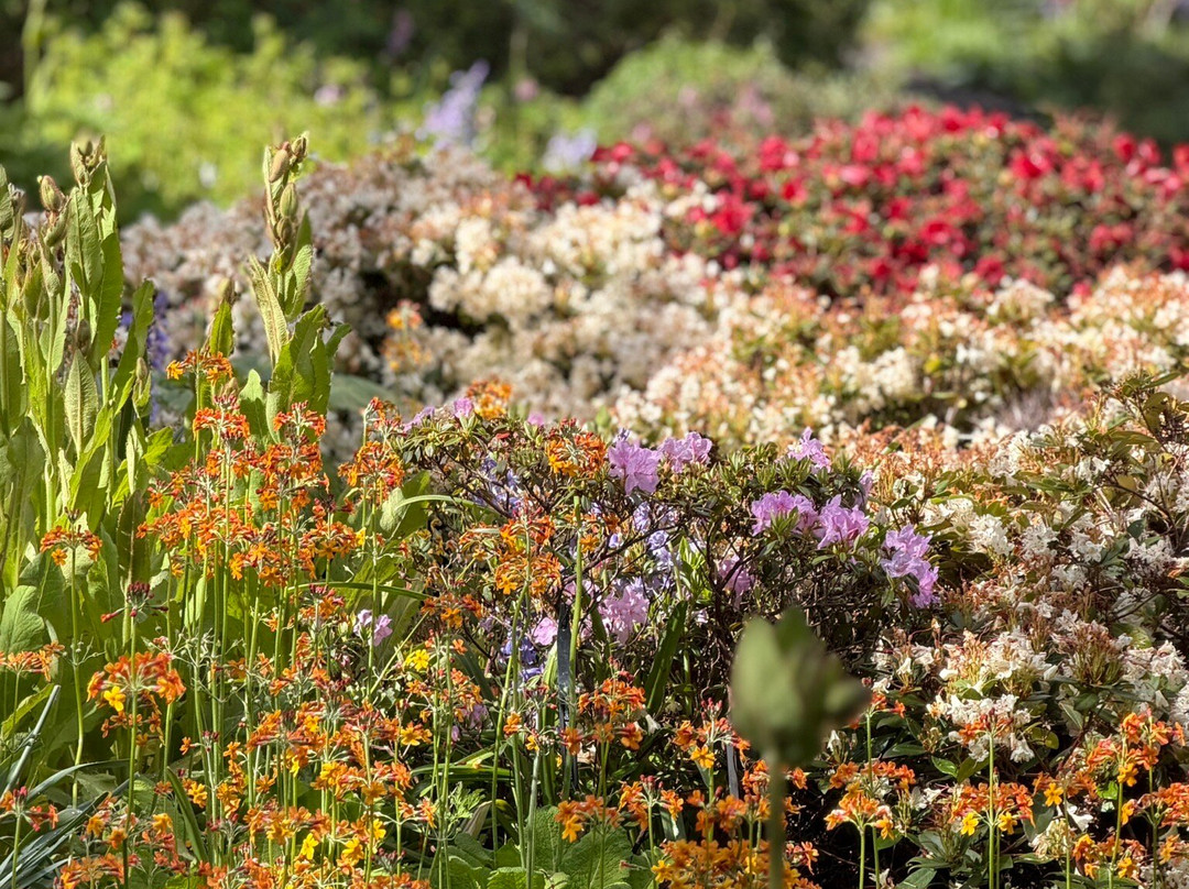 Branklyn Garden-珀斯必去景点