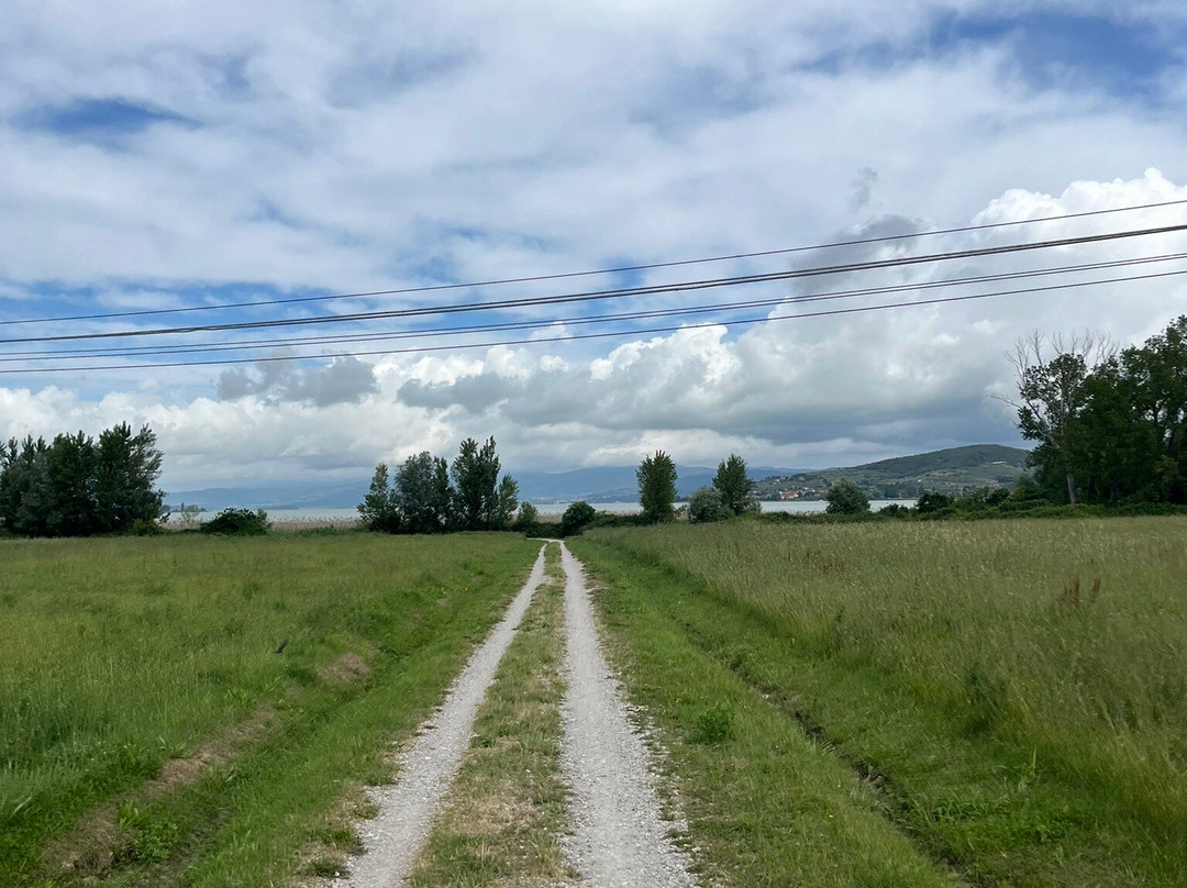 Pista Ciclabile del Trasimeno-Castiglione del Lago必去景点