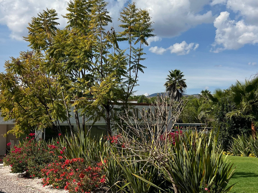 Yolihuani Relax Resort-Calvillo必去景点